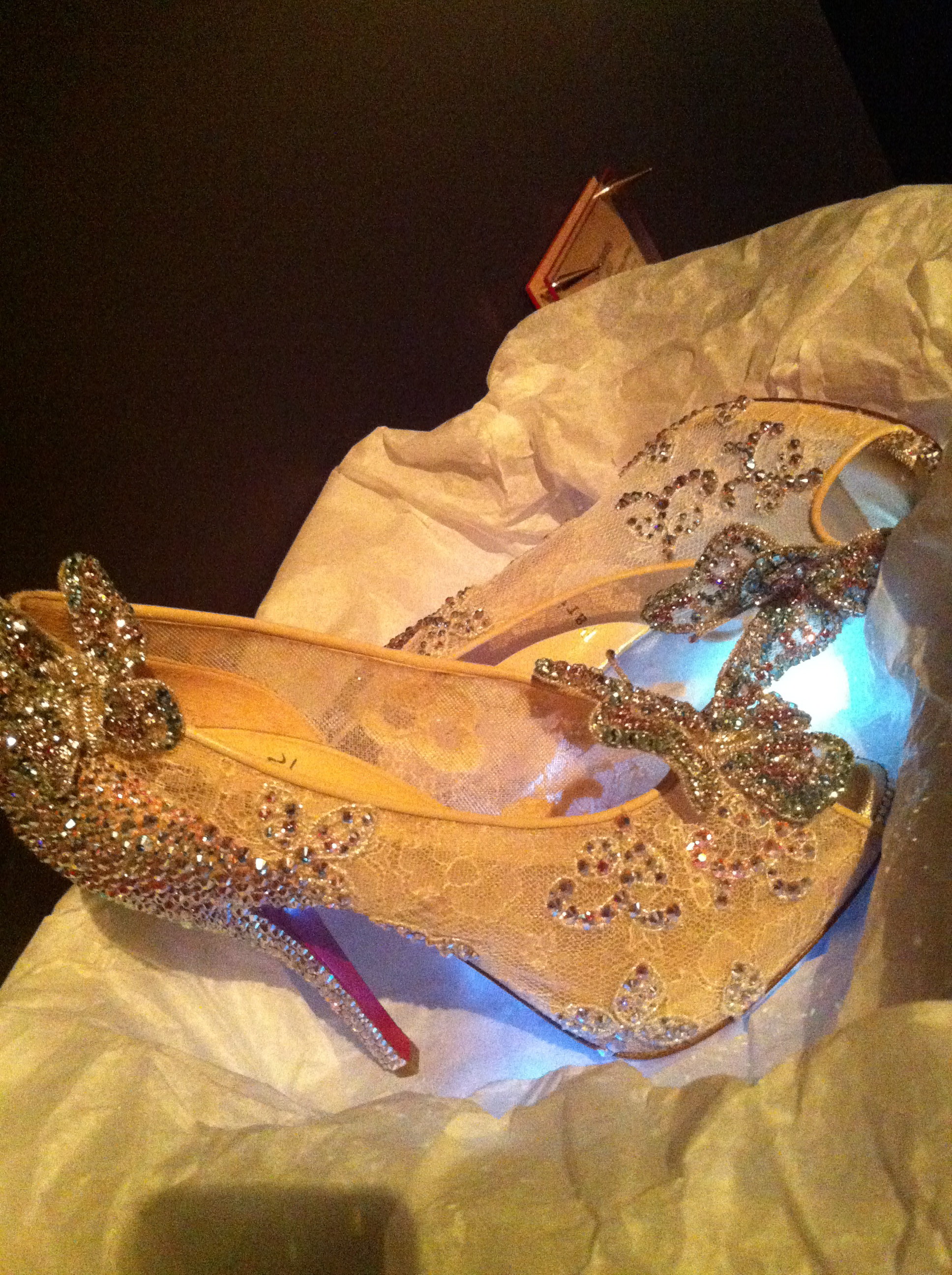 cinderella christian louboutin shoes cost - Obsidian Wellness Centre